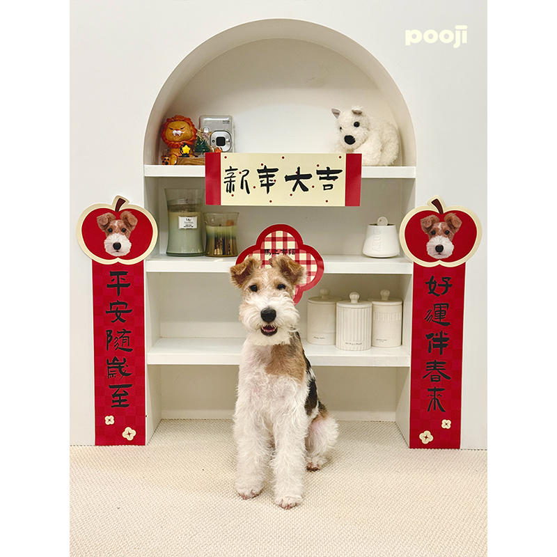 POOJI宠物定制春联对联2026马年新年猫咪狗狗创意来图DIY礼物,淘宝优惠券,粉丝福利购,淘宝优惠卷