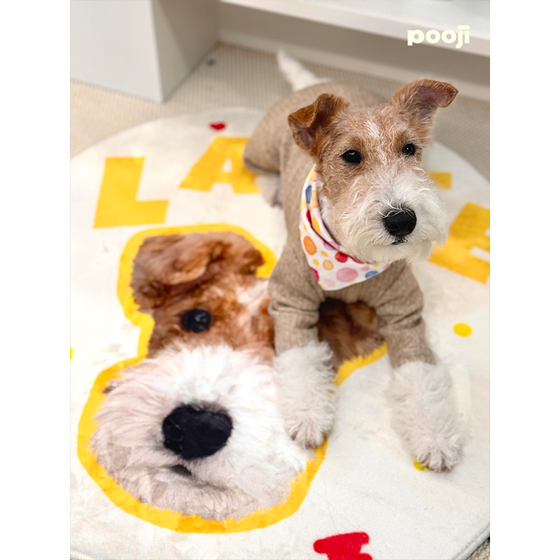 POOJI宠物定制地毯异形卧室客厅房间轻奢猫咪狗狗来图DIY礼物,淘宝优惠券,粉丝福利购,淘宝优惠卷