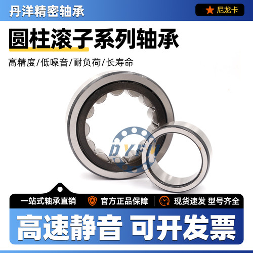 丹洋圆柱滚子轴承 NF212 213 214 215 216 217 218 219 220 221EM - 图1