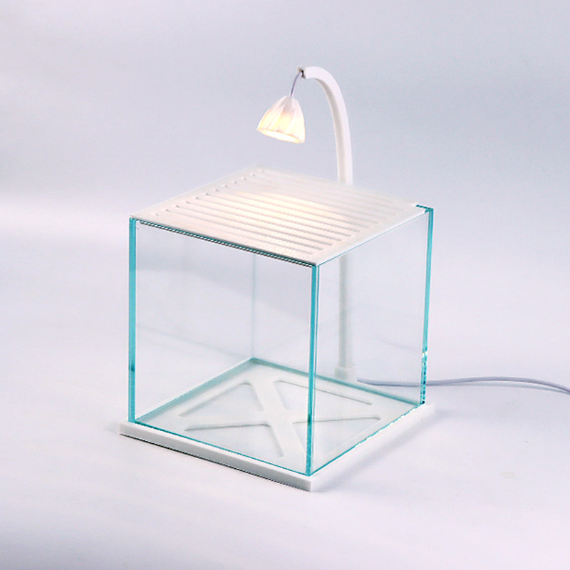 2025新款斗鱼缸小型网红玻璃缸客厅桌面观赏鱼造景办公室工位鱼缸,淘宝优惠券,粉丝福利购,淘宝优惠卷