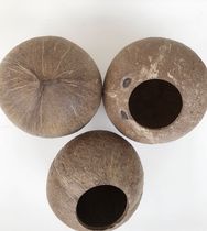 Natural coconut shell Old coconut shell Small opening coarse surface Kindergarten DIY multi-meat planting flower pot handicraft material