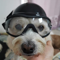 Dogs transparent glasses protection anti-dust windproof streaming tears pets out motorcycle safety helmet sun lens ornaments