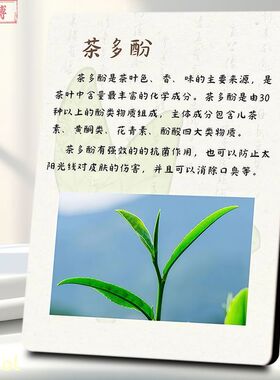 一杯茶中有什么文字馆展示