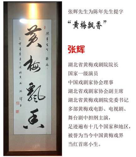 陈年精制 黄梅戏高胡  紫檀手工高胡 中国五甲剧院使用品牌 - 图0