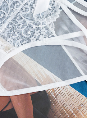 Women's Panties Erotic Female Lingerie Transparent Underwear