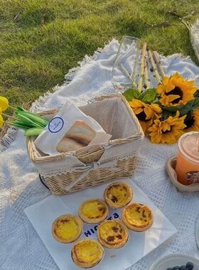 Soft Sofa Blanket Camping Picnic Mat Travel Throw Blankets w