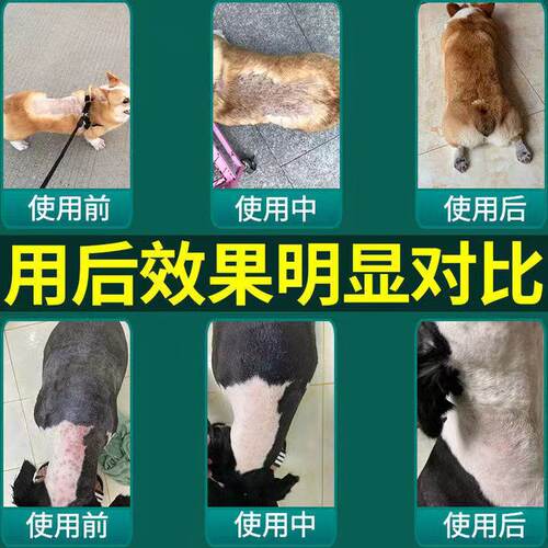 狗狗皮肤护理外用护理喷剂杀螨虫狗藓止痒真菌狗藓宠物专用贝肤康 - 图2
