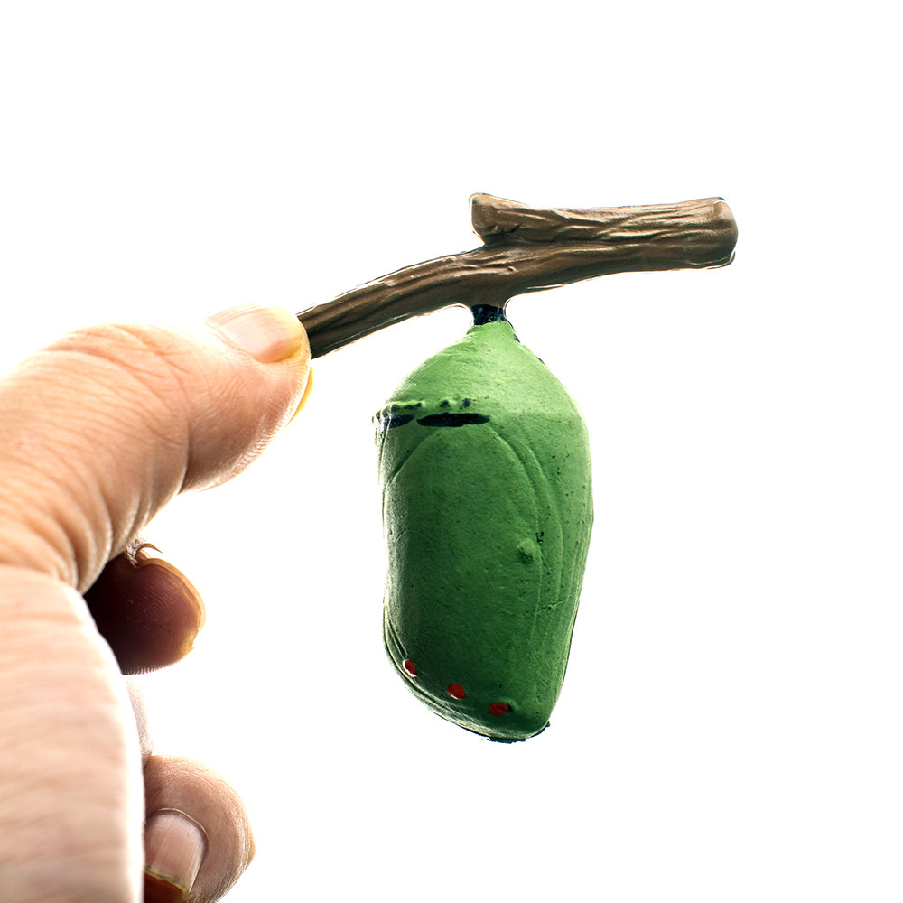 蝴蝶成长周期模型昆虫成长过程毛毛虫模型儿童玩具早教认证玩具,淘宝优惠券,粉丝福利购,淘宝优惠卷