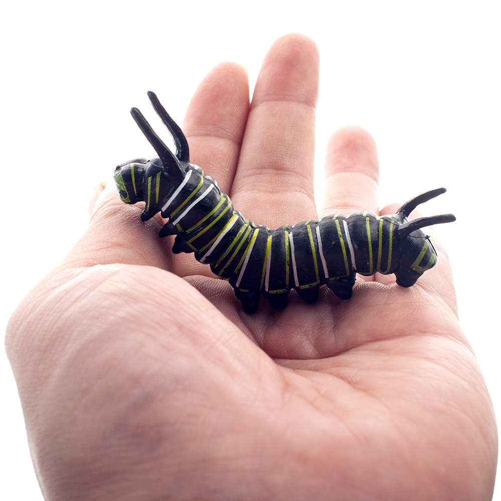 蝴蝶成长周期模型昆虫成长过程毛毛虫模型儿童玩具早教认证玩具,淘宝优惠券,粉丝福利购,淘宝优惠卷