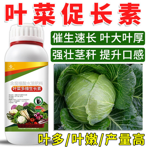 叶菜叶面肥蔬菜青菜大白菜韭菜香菜生菜催生速长生长素增产剂专用 - 图0