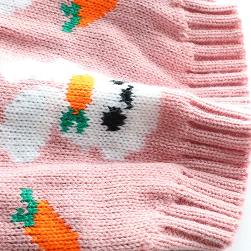 Осенний кролик для принцессы, свитер, милый кардиган, кот, домашний питомец