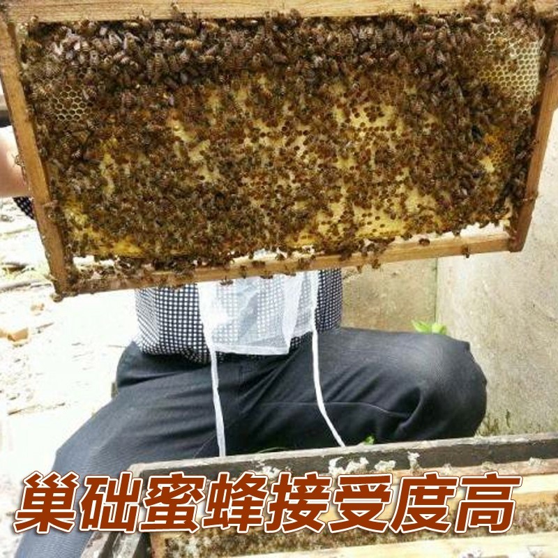 中蜂巢础片深房天然蜂蜡蜂箱养蜂工具蜜蜂巢脾巢基30片巢皮