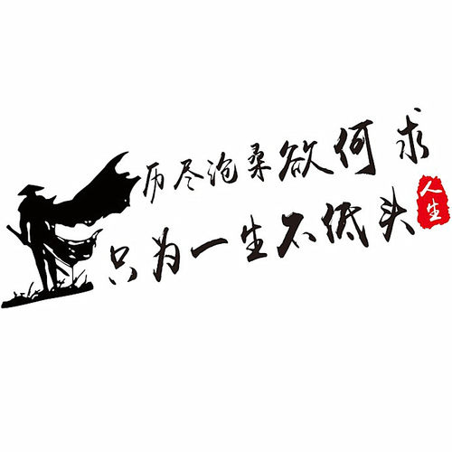 历尽沧桑欲何求车贴寒江孤影创意个性文字抖音网红汽车身装饰贴纸 - 图3