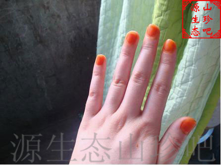 新鲜染指甲花凤仙花桃红指甲草花白色红色凤仙花粉纯植物染发 - 图0