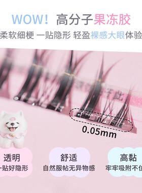 花洛莉亚斜飞狐系免胶假睫毛自然