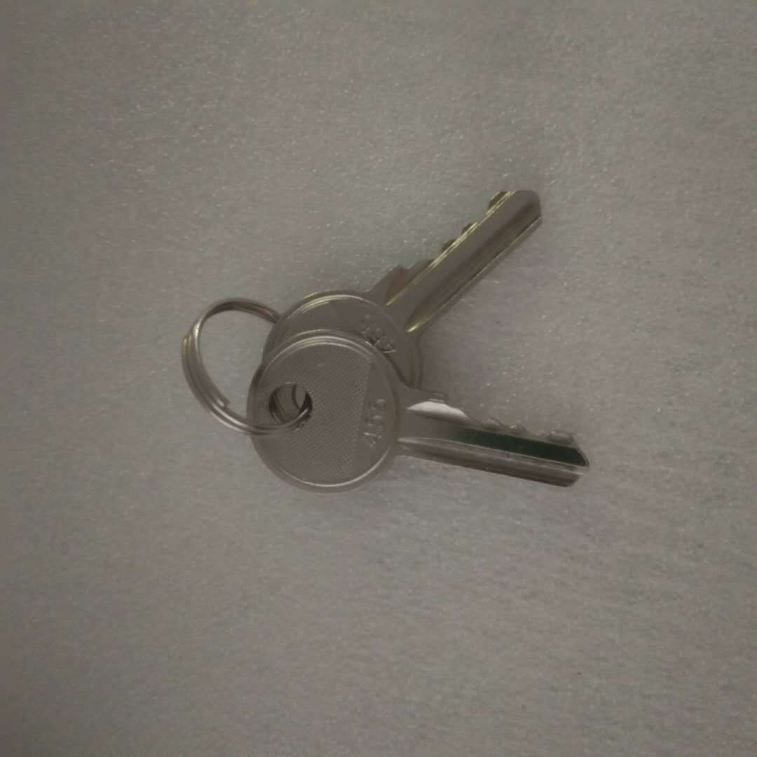 原装钥匙OPT脱毛仪器激光洗眉机开机钥匙配件810养生皮秒钥匙锁 - 图3