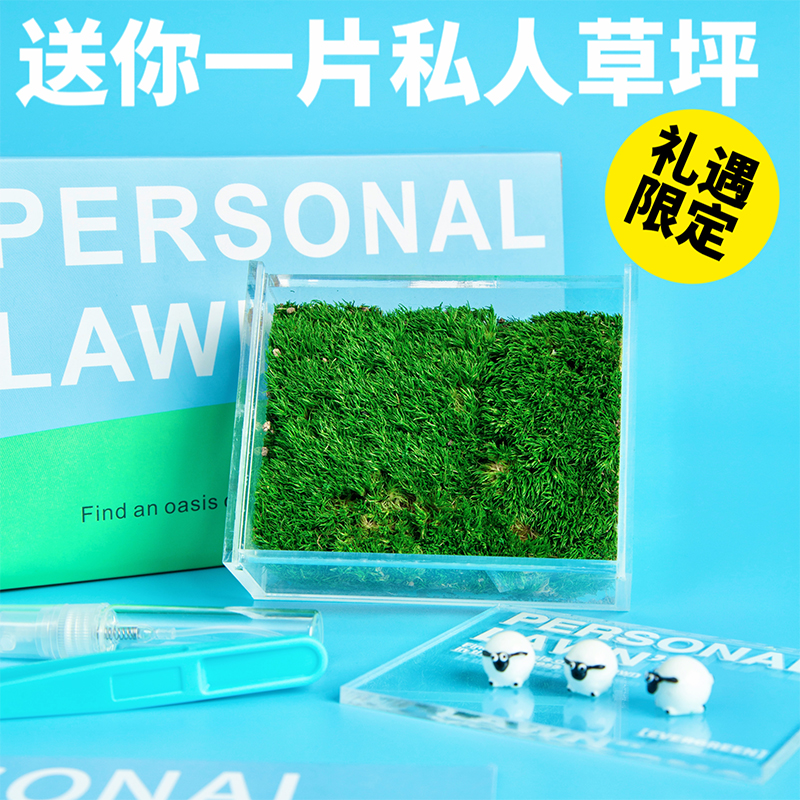 绿洲私人草坪苔藓微景观室内办公室桌面绿植好养盆栽解压植物礼物 - 图0