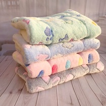 Cat Mat Dog Mat Winter Kitty Blanket Son Autumn Winter Style Teddy Mattress Winter With Warm Thickened Small Quilt