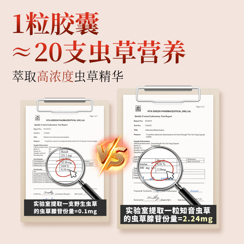 维特健灵知音虫草肺清胶囊营养品冬虫草调节身体补品官方正品60粒 - 图1