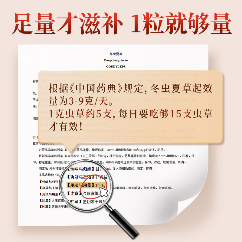 维特健灵知音虫草肺清胶囊营养品冬虫草调节免疫补品官方正品3盒 - 图2