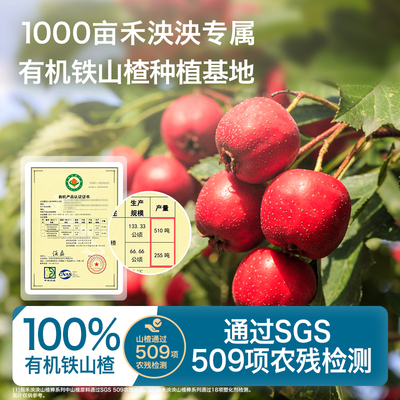 禾泱泱宝宝小零食山楂棒