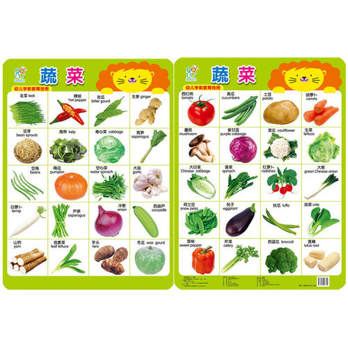 幼儿学前教育挂图 0-3-6岁儿童早教大挂画书籍宝宝认知动物蔬菜交通工具数字拼音识字启蒙卡片唐诗儿歌三字经挂图1岁2岁图书撕不破 - 图1