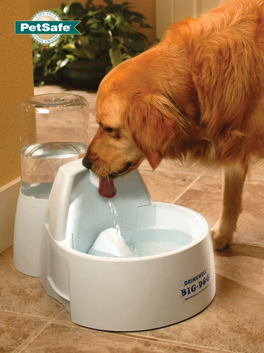 Petsafe bei shi'an интеллектуальная автоматическая круга для питья питье
