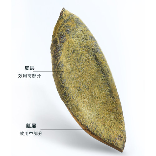 橘源堂陈年化橘红皮正宗金毛化州橘红胎皮单爪化橘红片桔红片送礼 - 图2
