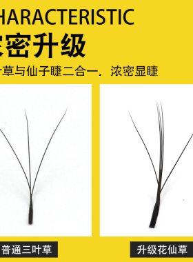 3D夹心仙子三叶草花仙草睫毛仙女