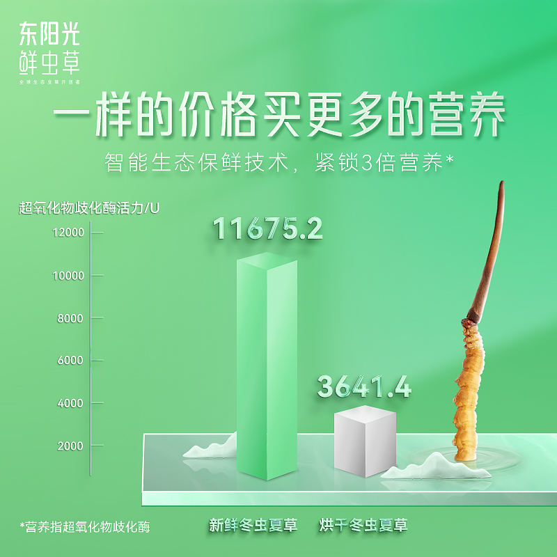 东阳光鲜虫草官方旗舰店正品新鲜冬虫夏草礼盒 0.4~0.6g/支10支-图0