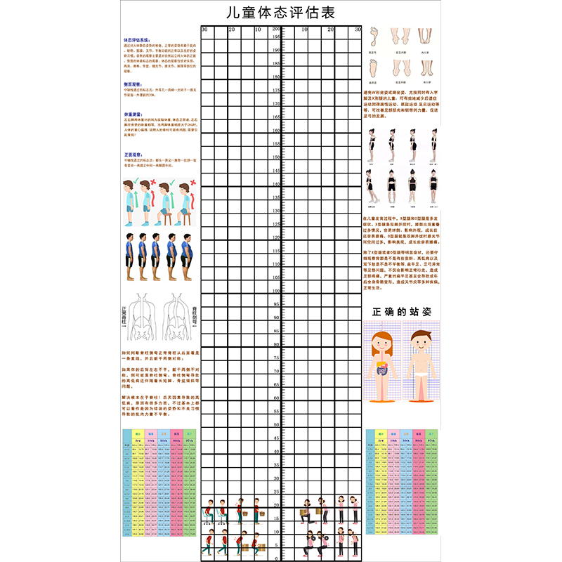 儿童身高体态评估表站姿体测网格壁画背景墙纸中小幼儿体测评估图