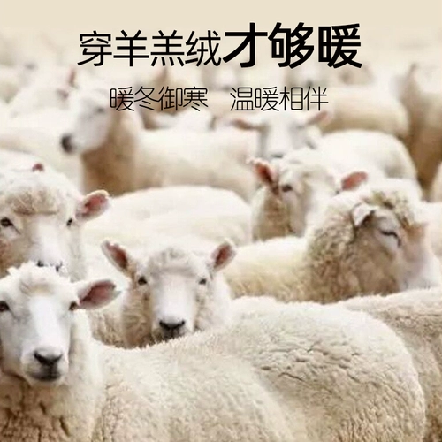 Удерживающее тепло утепленное нижнее белье, комплект, бархатное термобелье, свитер