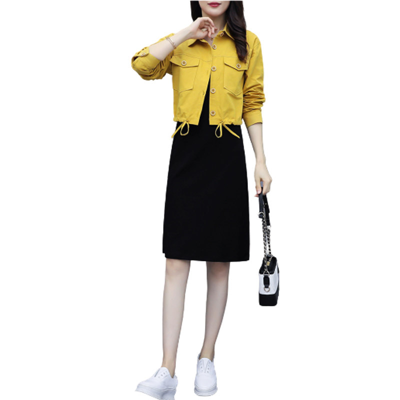 秋装2020年新款女休闲气质连衣裙 以魅连衣裙