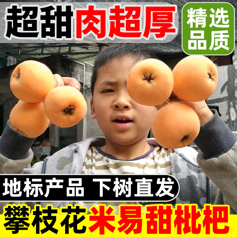 攀枝花米易枇杷新鲜5斤当季现摘特级甜枇杷水果整箱大琵琶果包邮