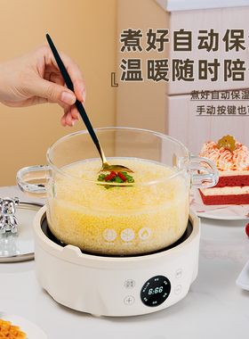 多功能养生电热炖煮煎药壶