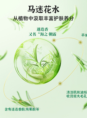马鞭草酮迷迭香马迷纯露