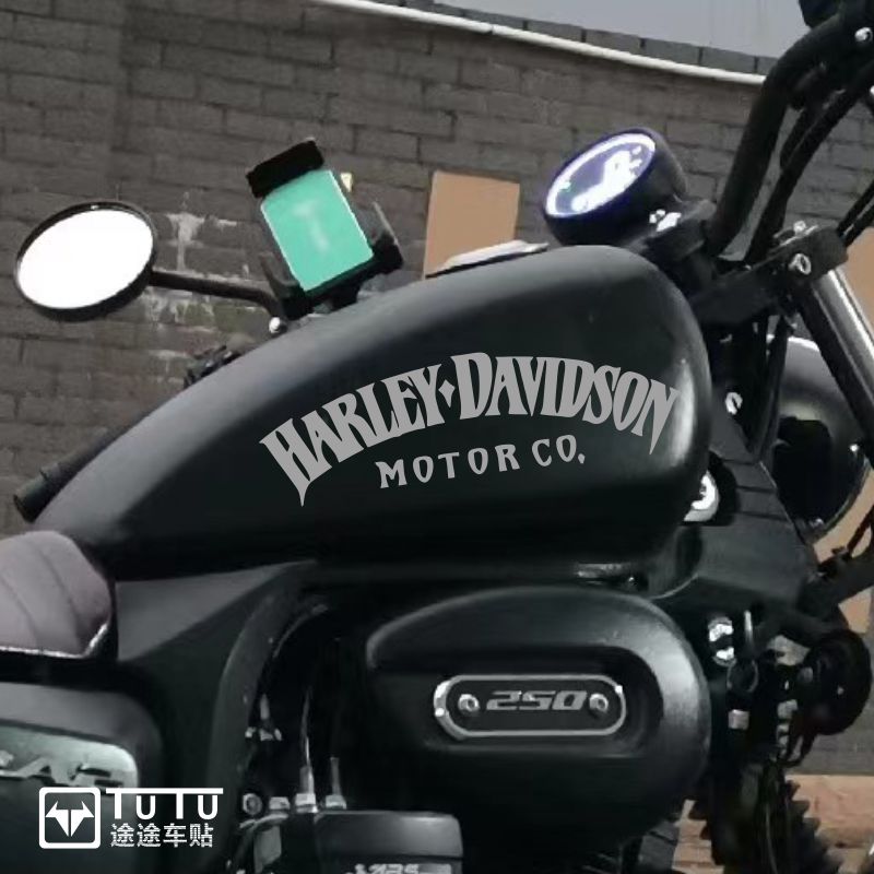 适用于宗申赛科龙RA2贴纸拉花车贴个性复古机车油箱贴花防水版画 - 图1