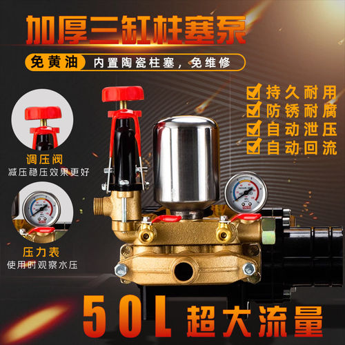 三缸柱塞泵打药机喷雾器高压农用园林果树小型家用电动喷洒农药泵 - 图1