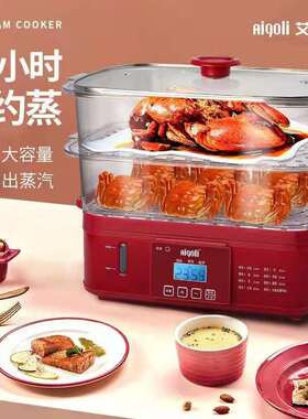 艾格丽长方形不锈钢电蒸锅