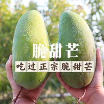 Fresh Vietnamese sweetheart and Crisp Sweet can be dipped with chili powder raw to eat crispy fruit cooked with sweet and sweet golden huang mango cooked two