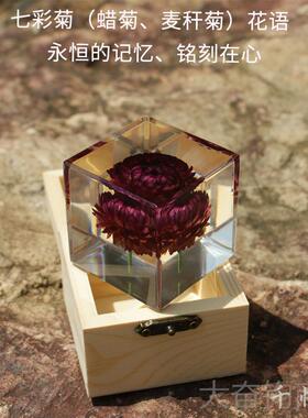 正品蒲公英标本瑰永生雏花菊植物立方水晶摆件体树脂车载家居镇玫