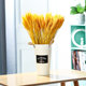 Natural golden wheat ears dried flowers for opening living room pastoral