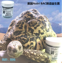 American Nutri BACBAO WEN Corner Patron Lizard Turtle Snake Reptile Probiotic Conditioning Nutritional Health Care Powder