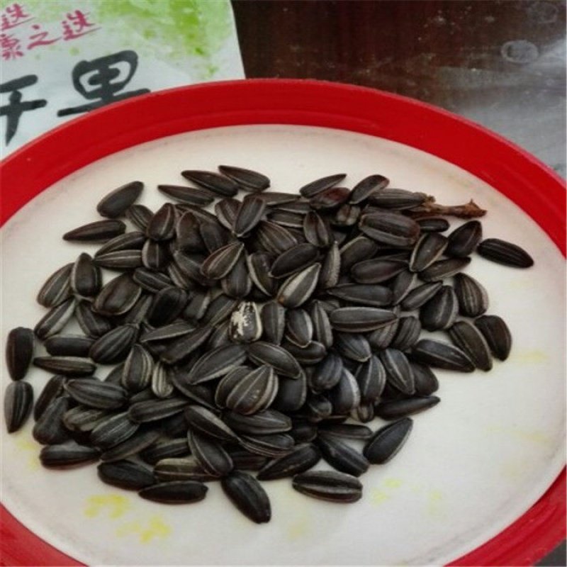 包邮/小珍珠黑珍珠油葵毛磕瓜子 伊乃人家瓜子
