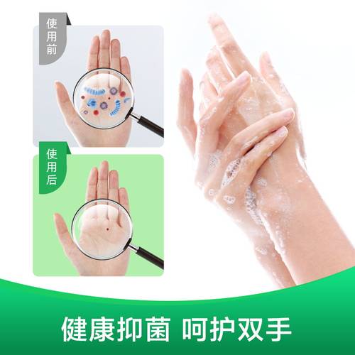 滴露经典滋润松木洗手液包邮家用正装抑菌儿童按压非泡沫500g*2瓶 - 图2