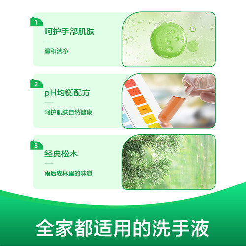 滴露经典滋润松木洗手液包邮家用正装抑菌儿童按压非泡沫500g*2瓶 - 图0