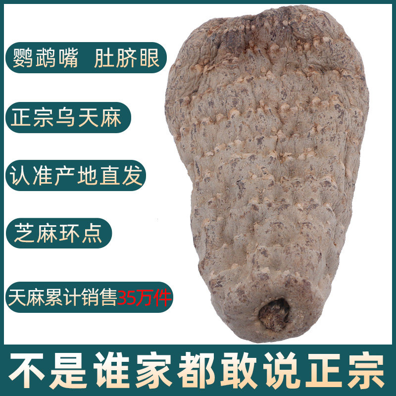 云南乌干货野生特级正品粉天麻片 君愉天麻