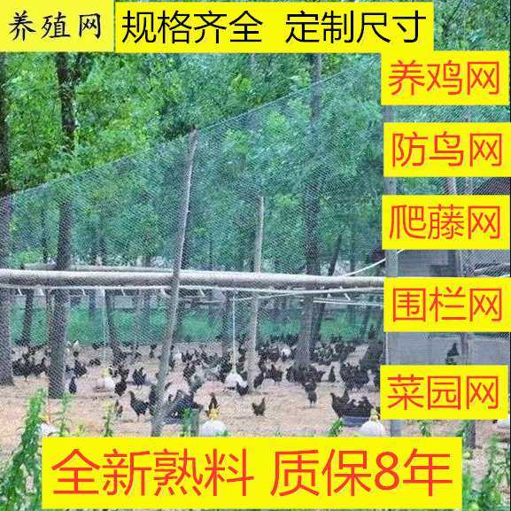 家禽养鸡网拦鸡网围鸡网养殖网菜园网防鸡网围栏网,淘宝优惠券,粉丝福利购,淘宝优惠卷
