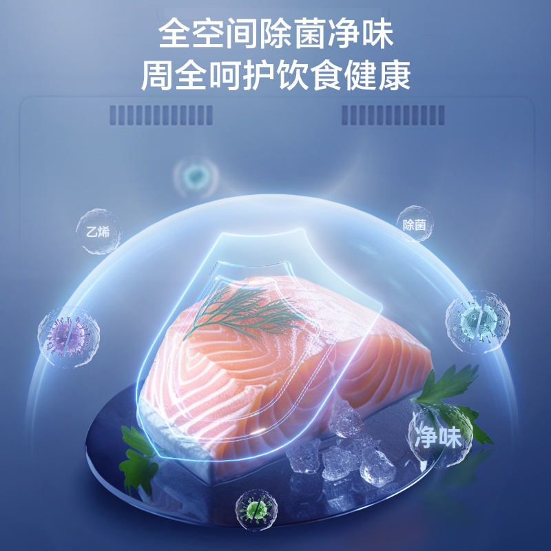 【新品】容声155升立式冷柜全冷冻无霜母乳冷藏储奶抽屉式冰箱