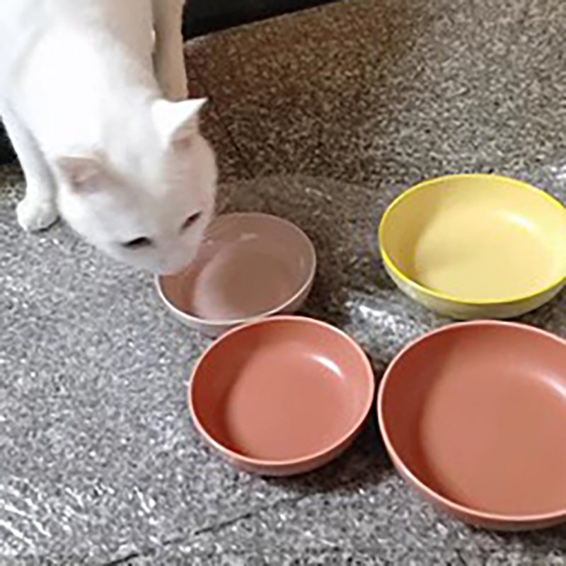 特价猫碗小狗碗陶瓷零食盆狗碗防打翻幼猫吃饭小吃蹀可爱猫食盘 - 图1